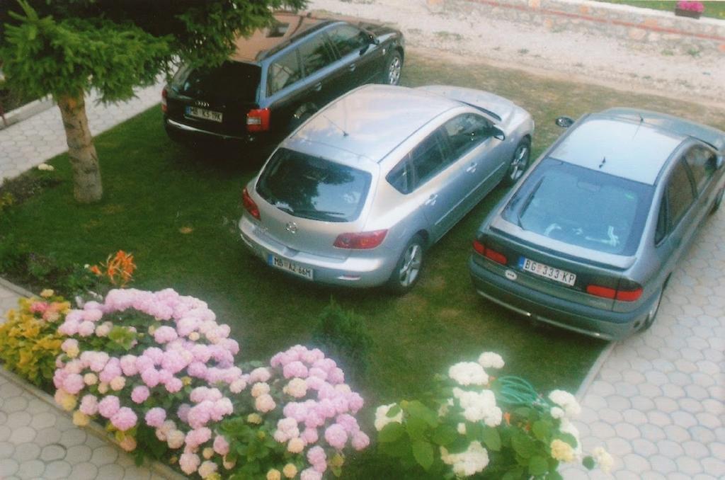 Tomic Apartament Ohrida